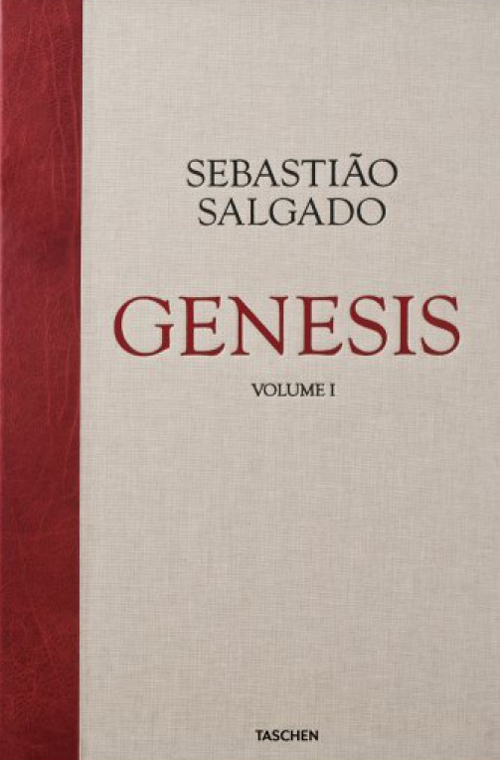 Sebasti&atilde;o Salgado. Genesis