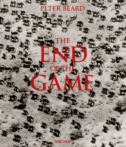 The End of the Game: The Last Word from Paradise