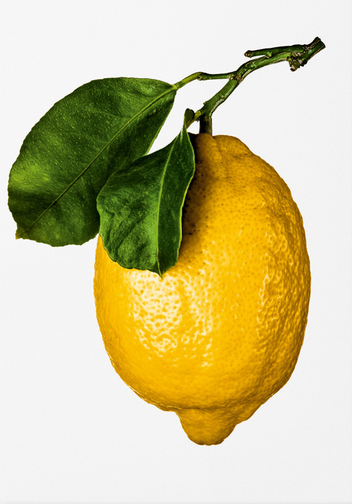 The Gourmand's lemon. A collection of stories and recipes. Ediz. inglese