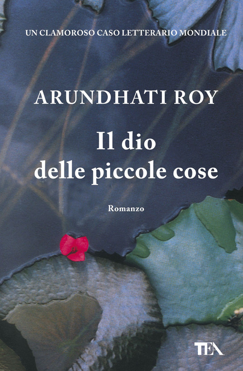 Il dio delle piccole cose