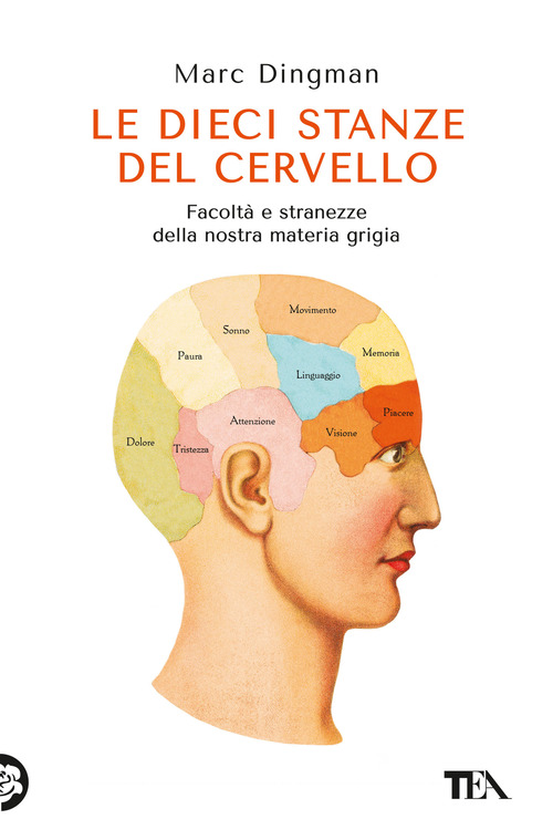Le dieci stanze del cervello. Facolt&agrave; e stranezze della nostra materia grigia
