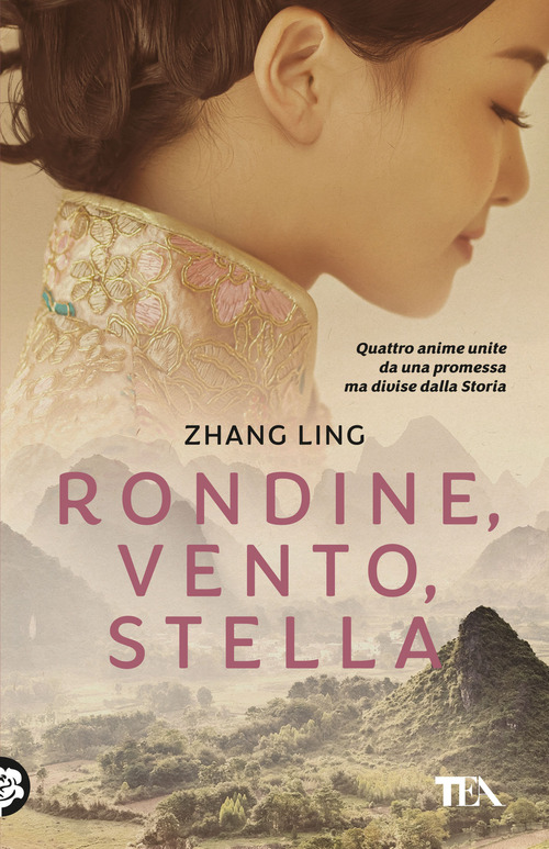 Rondine, vento, stella