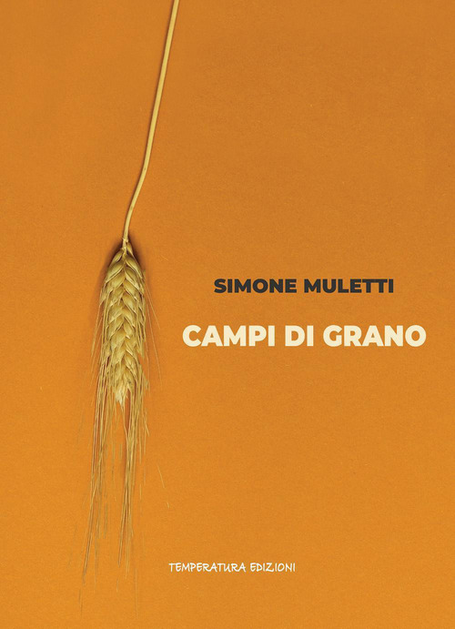 Campi di grano