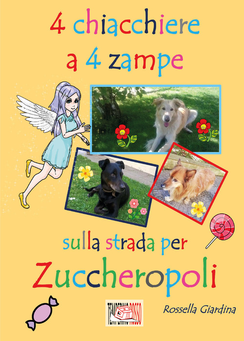 Photo gallery principale
