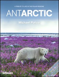 Antarctic. A tribute to life in the polar regions