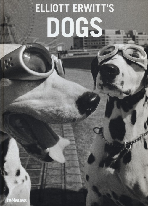 Elliott Erwitt's dogs
