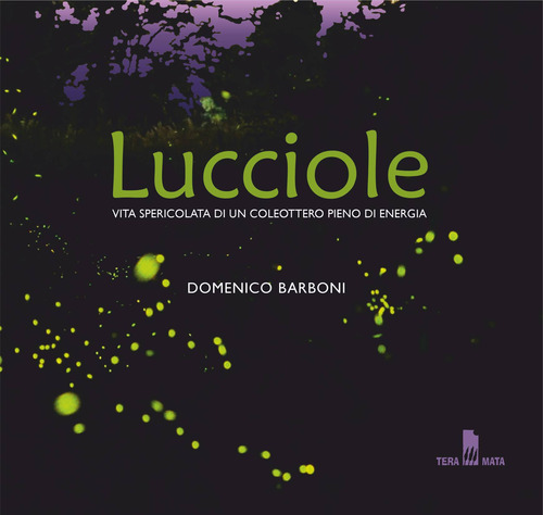 Lucciole. Vita spericolata di un coleottero pieno di energia