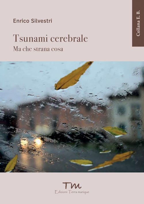 Tsunami cerebrale. Ma che strana cosa