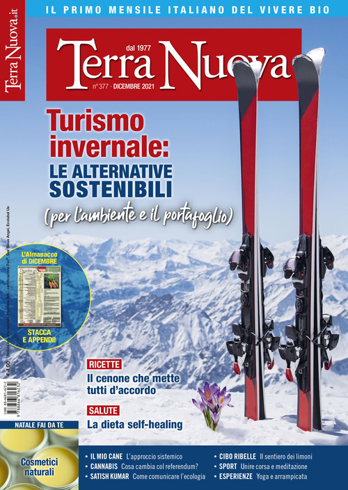 Terra nuova