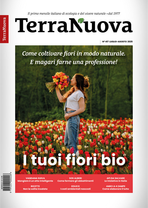 Photo gallery principale