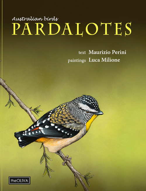 Australian birds, Pardalotes. Taxonomic and natural history