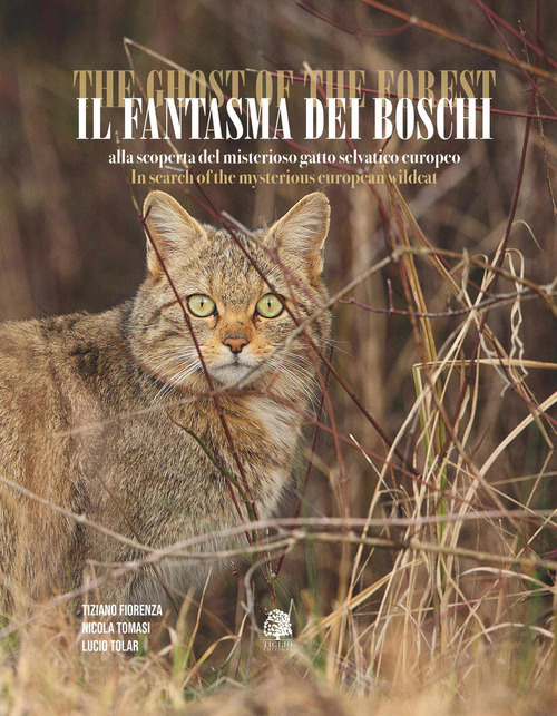 Il fantasma dei boschi. Alla scoperta del misterioso gatto selvatico europeo-The ghost of the forest. In search of the mysterious euroepan wildcat