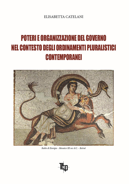 Poteri e organizzazione del governo nel contesto degli ordinamenti pluralistici contemporanei
