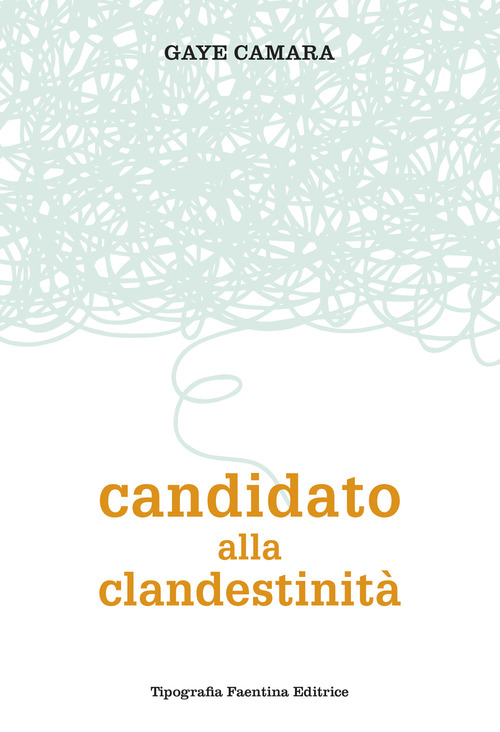 Candidato alla clandestinit&agrave;. Come trovare la soluzione all'immigrazione