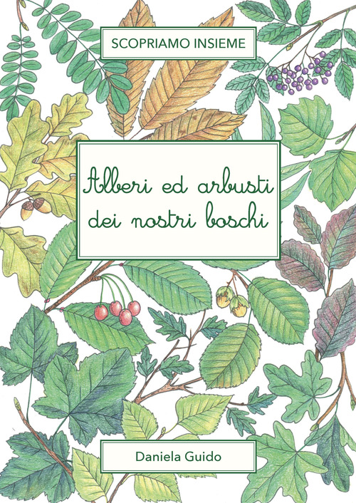 Alberi e arbusti dei nostri boschi