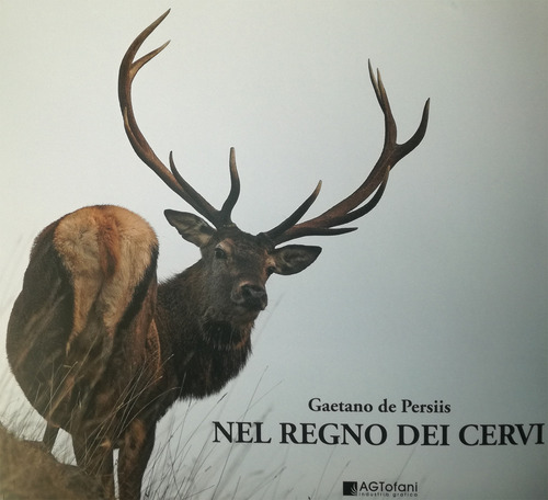 Photo gallery principale