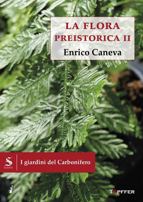 I giardini del Carbonifero. La flora preistorica
