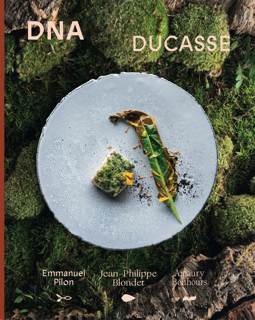 DNA Ducasse