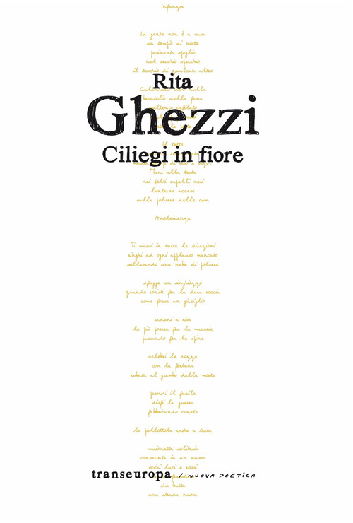 Ciliegi in fiore