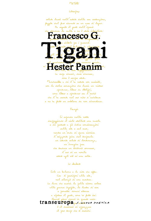 Hester Panim