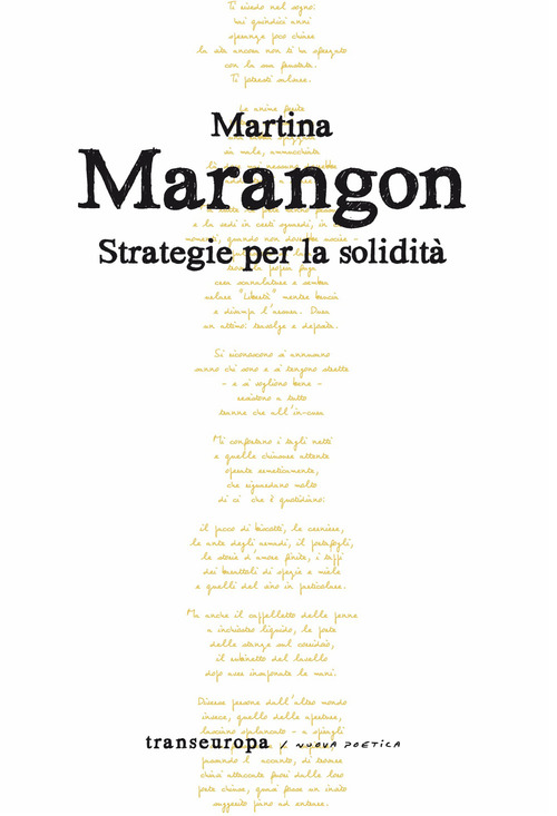 Strategie per la solidit&agrave;