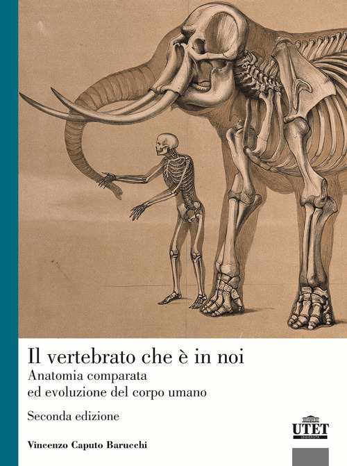 Il vertebrato che &egrave; in noi. Anatomia comparata ed evoluzione del corpo umano