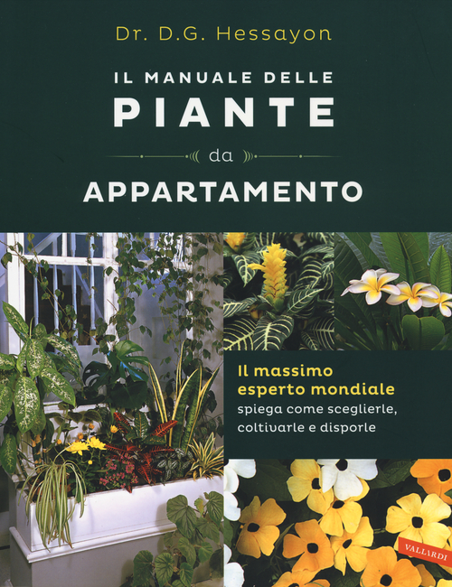 Photo gallery principale