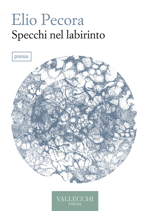 Specchi nel labirinto