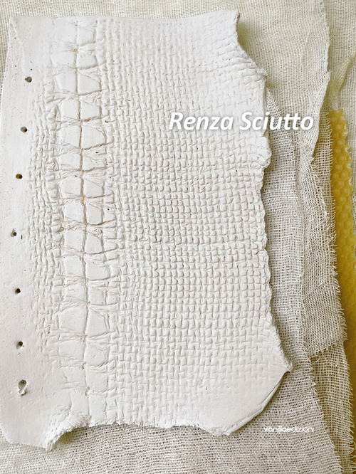 Renza Sciutto. Ediz. italiana e inglese