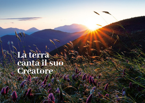 Photo gallery principale