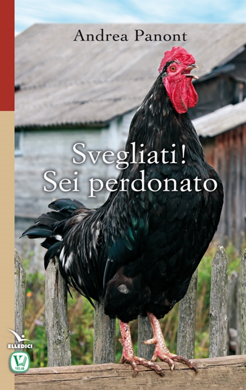Photo gallery principale