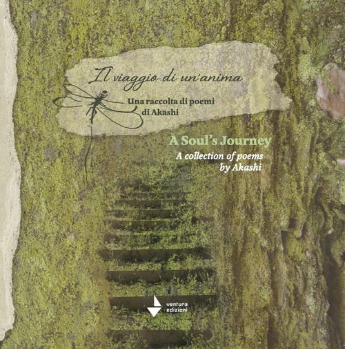 A souls journey. A collection of phoems by Akashi