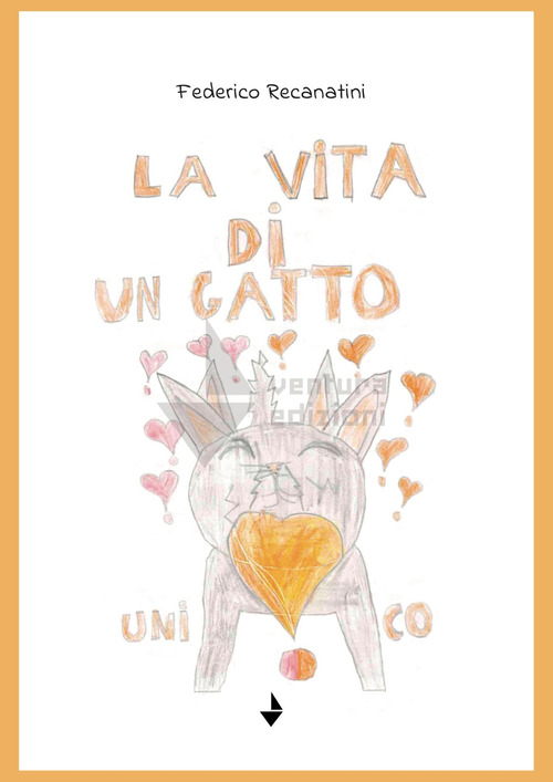 La vita di un gatto unico
