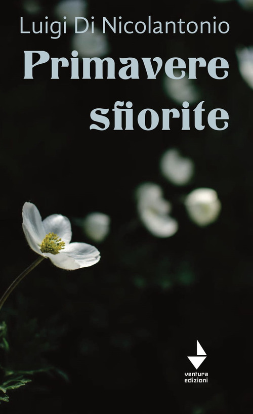 Photo gallery principale