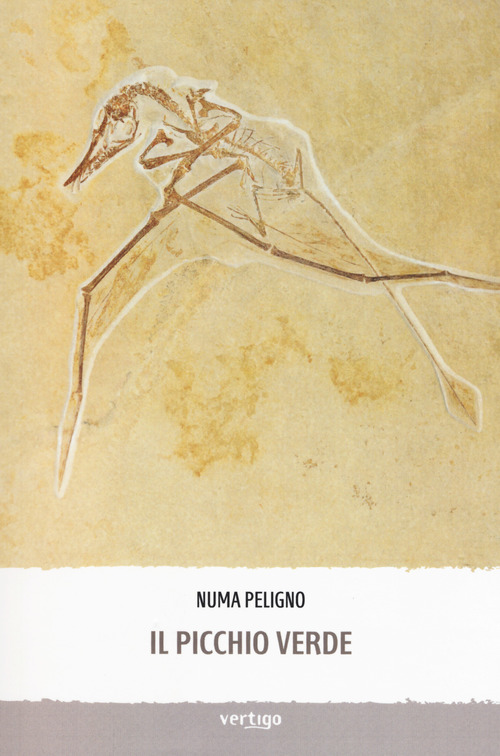 Photo gallery principale