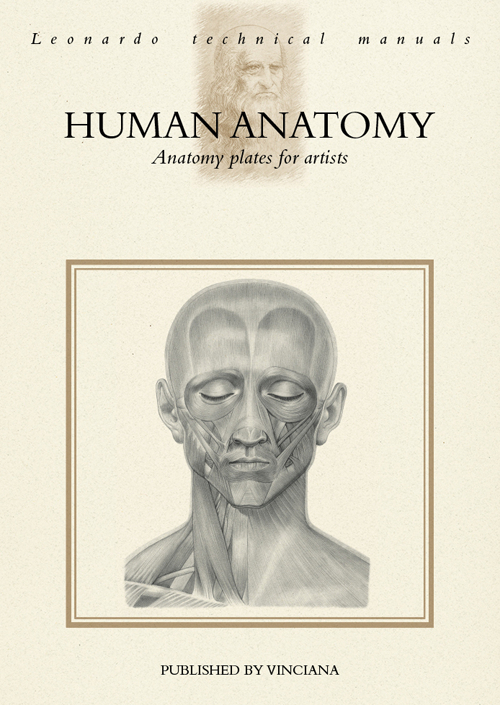 Human anatomy. Anatomy plates for artists