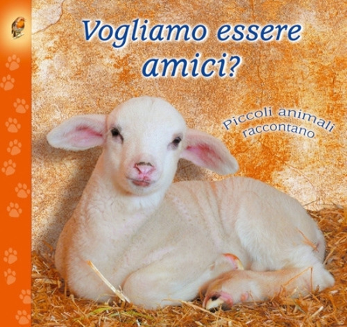 Photo gallery principale