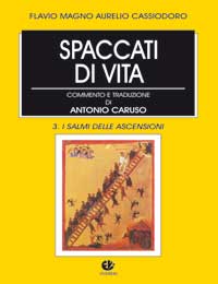 Spaccati di vita