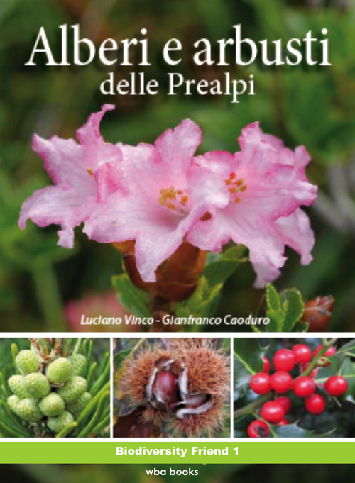 Photo gallery principale
