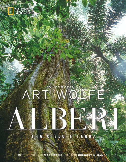 Alberi tra cielo e terra
