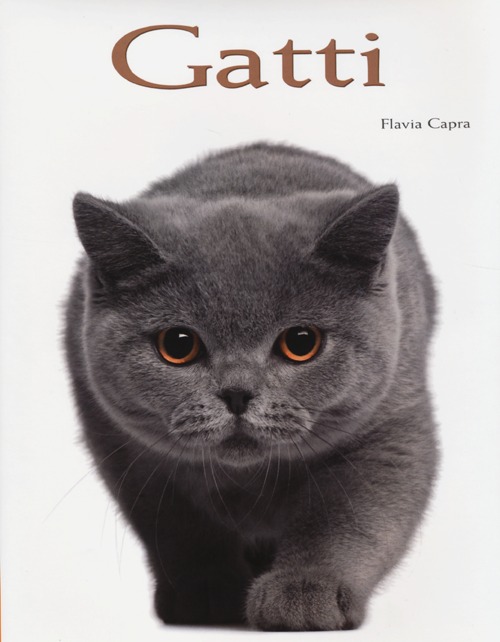 Gatti