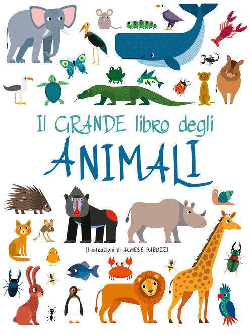 Photo gallery principale