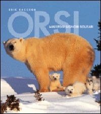 Orsi