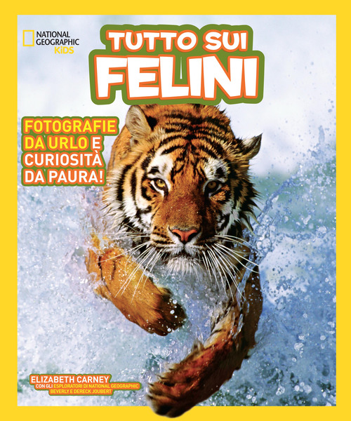 Tutto sui felini
