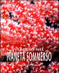 Viaggio nel pianeta sommerso