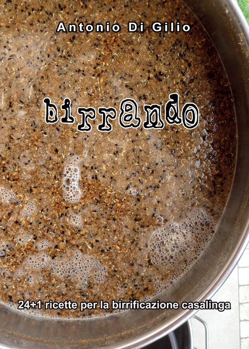 Birrando. 24+1 ricette per la birrificazione casalinga