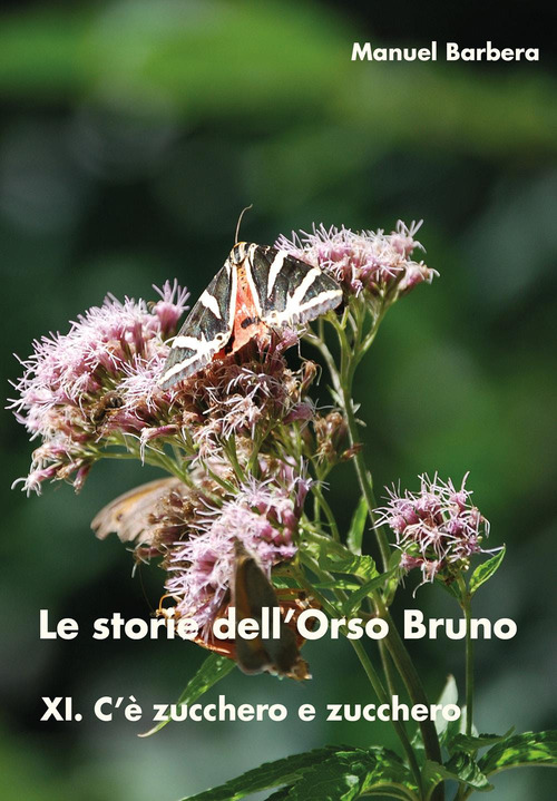 C'&egrave; zucchero e zucchero. Le storie dell'Orso Bruno