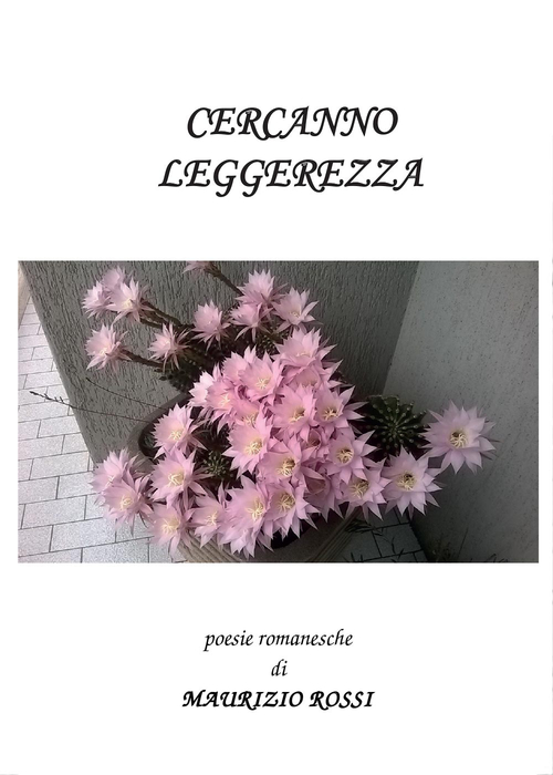 Photo gallery principale