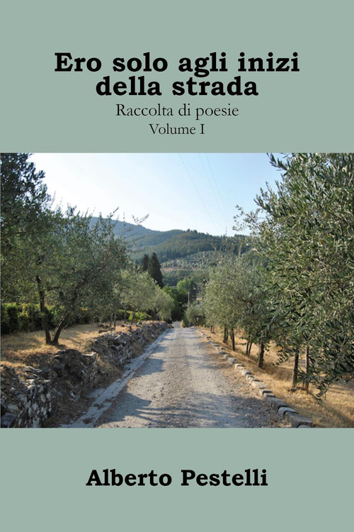 Ero solo agli inizi della strada... Raccolta di poesie