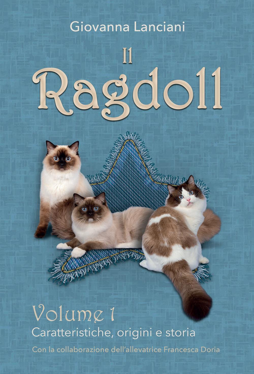 Il Ragdoll